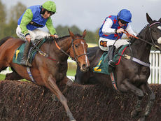 MONDAY RACING TIPS