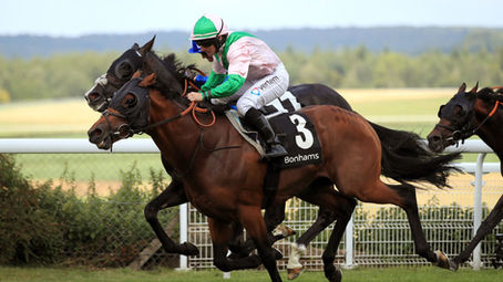TUESDAY RACING TIPS