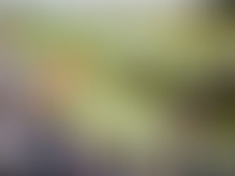 WILL WE WITNESS MAGIC AT FLAT HQ?