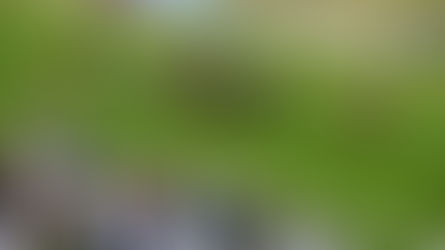 WEDNESDAY RACING TIPS