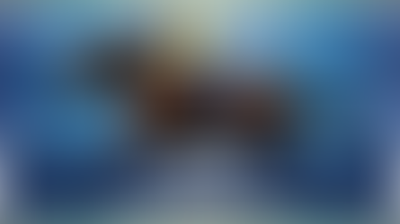 TOP 5 - CORAL ECLIPSE WINNERS SINCE THE YEAR 2000