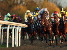 WEDNESDAY RACING TIPS
