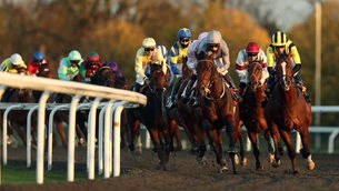 WEDNESDAY RACING TIPS