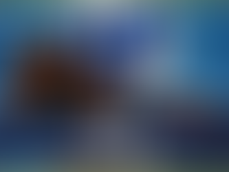 TOP 5 - ENGLISH OAKS WINNERS SINCE THE YEAR 2000