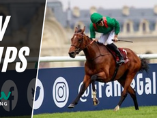 TV TIPS (SATURDAY)