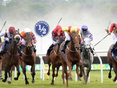 TUESDAY RACING TIPS