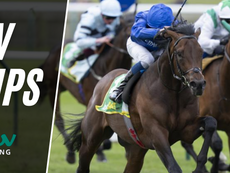 TV TIPS (SATURDAY)