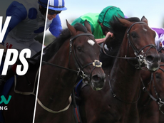 TV TIPS (SUNDAY)