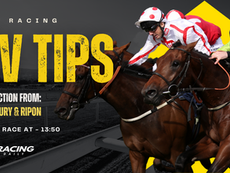 TV TIPS (SATURDAY)