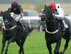 WEDNESDAY RACING TIPS