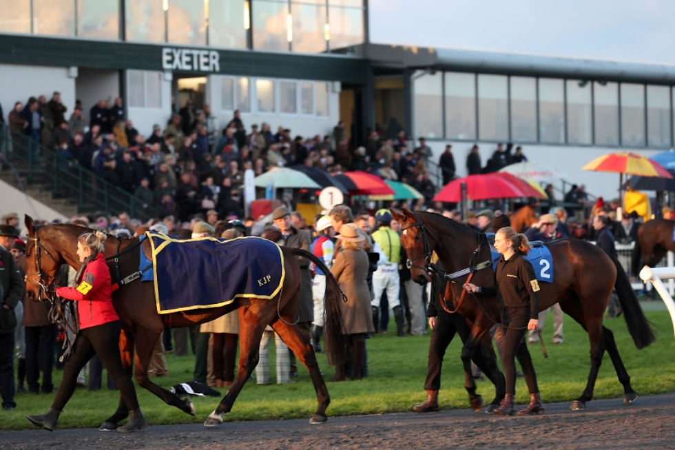 Exeter crowds paddock 3.jpg