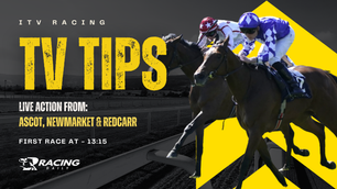 TV TIPS (SATURDAY)