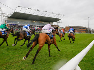 LADY TO LOVE KEMPTON CONDITIONS