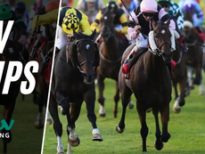 TV TIPS (SATURDAY)