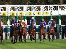 WEDNESDAY RACING TIPS