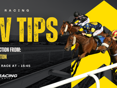 TV TIPS (SUNDAY)