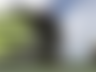 FRIDAY JUMPS RACING TIPS