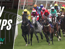 TV TIPS (SATURDAY)