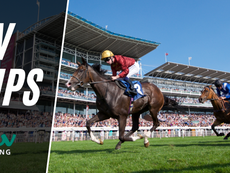TV TIPS (WEDNESDAY)