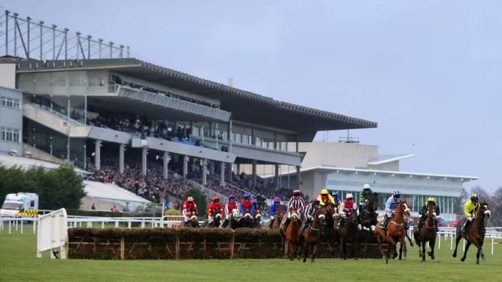 Leopardstown 2.jpg