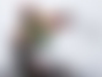 TV TIPS (BOXING DAY)