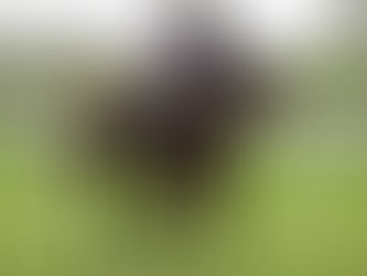 COVE TO FINISH IN THE MONEY