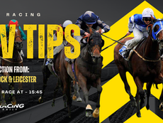 TV TIPS (SUNDAY)
