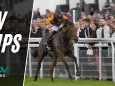 TV TIPS (WEDNESDAY)