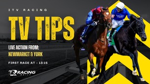 TV TIPS (SATURDAY)