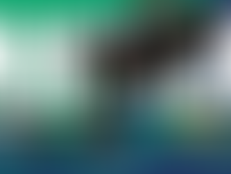 AINTREE GRAND NATIONAL MEETING - DAY 1 (THURSDAY)