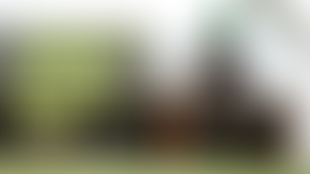 TUESDAY JUMPS RACING TIPS