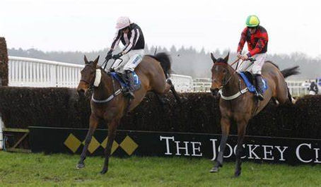 TUESDAY RACING TIPS