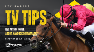TV TIPS (SATURDAY)