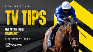 TV TIPS (WEDNESDAY)