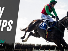 TV TIPS (TUESDAY)
