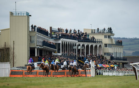WEDNESDAY RACING TIPS