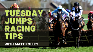 TUESDAY JUMPS RACING TIPS
