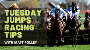 TUESDAY JUMPS RACING TIPS