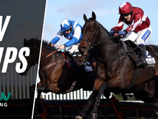 TV TIPS (SATURDAY)