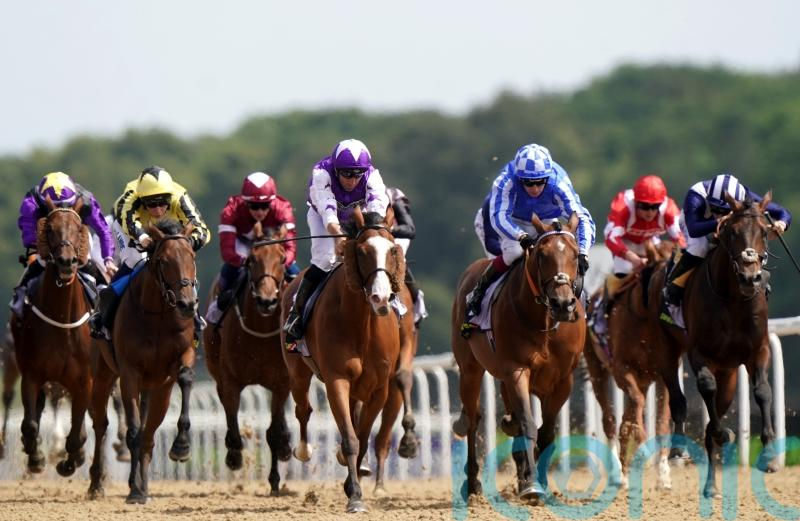 CALLING THE WIND (Purple and White Silks)