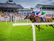 MONDAY RACING TIPS