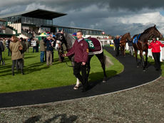 FRIDAY RACING TIPS
