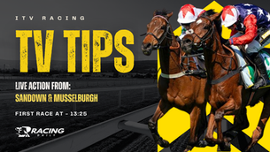 TV TIPS (SATURDAY)