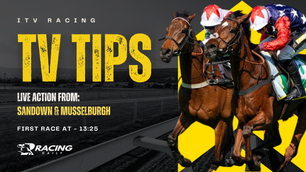TV TIPS (SATURDAY)