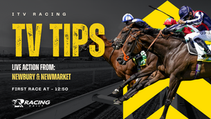 TV TIPS (SATURDAY)