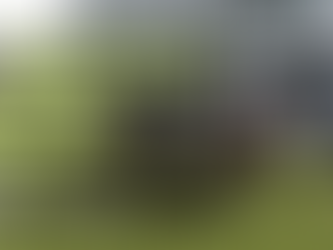 WEDNESDAY JUMPS RACING TIPS