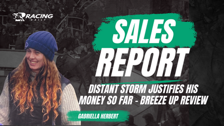 SALES REPORT - BREEZE UP REVIEW