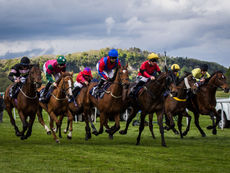 THURSDAY RACING TIPS
