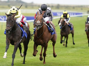 GET THE BLUES AT LINGFIELD