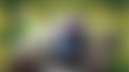 CHELTENHAM FESTIVAL 2026 - TUESDAY